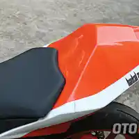 Galleri foto Berkat Tidur Bareng Macan Jadi-Jadian