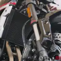 Galleri foto GALERI: Motor Neo Retro Naked Sport Triumph Trident 660 Galleri foto GALERI: Motor Neo Retro Naked Sport Triumph Trident 660