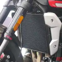 Galleri foto GALERI: Motor Neo Retro Naked Sport Triumph Trident 660 Galleri foto GALERI: Motor Neo Retro Naked Sport Triumph Trident 660