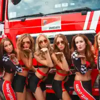 Galleri foto Galeri: Paddock Girls MotoGP Brno 2015 Galleri foto Galeri: Paddock Girls MotoGP Brno 2015