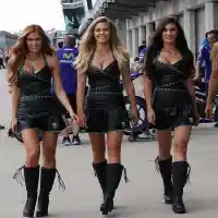 Galleri foto Galeri: Umbrella Girls MotoGP Indianapolis 2015