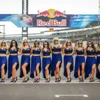 Galleri foto Galeri: Umbrella Girls MotoGP Indianapolis 2015