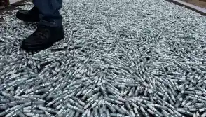 Busi NGK Palsu Marak Beredar, Niterra Sebut Segmen Motor Paling Rentan