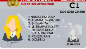 Dispensasi Perpanjangan SIM Saat Libur Nataru 2025/2026, Ini Jadwal dan Ketentuannya